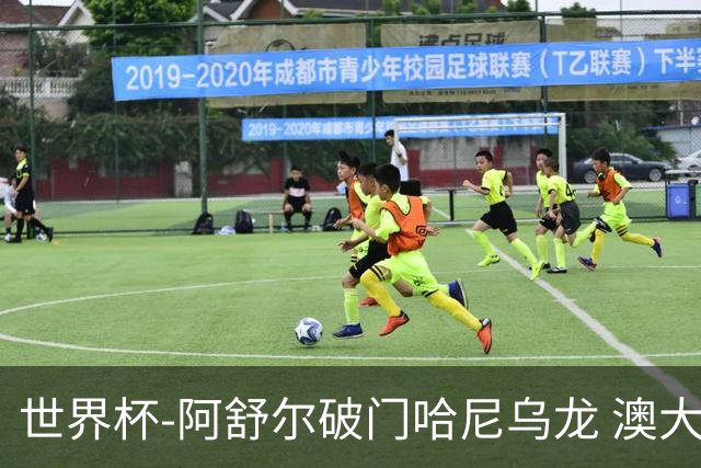 世界杯-阿舒尔破门哈尼乌龙 澳大利亚1-1埃及进点球